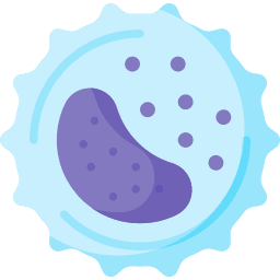 Absolute Neutrophil Count (ANC) Calculator